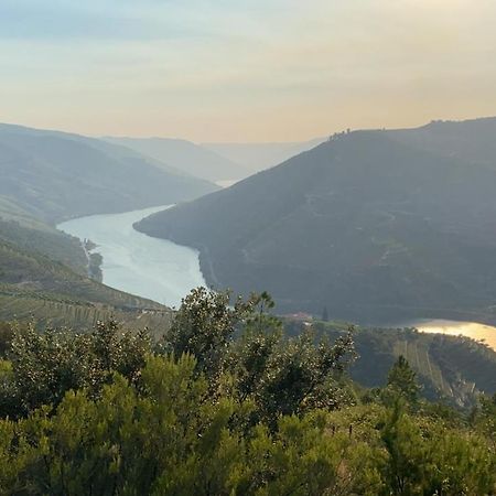 Quinta Da Casa Cimeira, Guest House, Wines & Food Valença do Douro Dış mekan fotoğraf