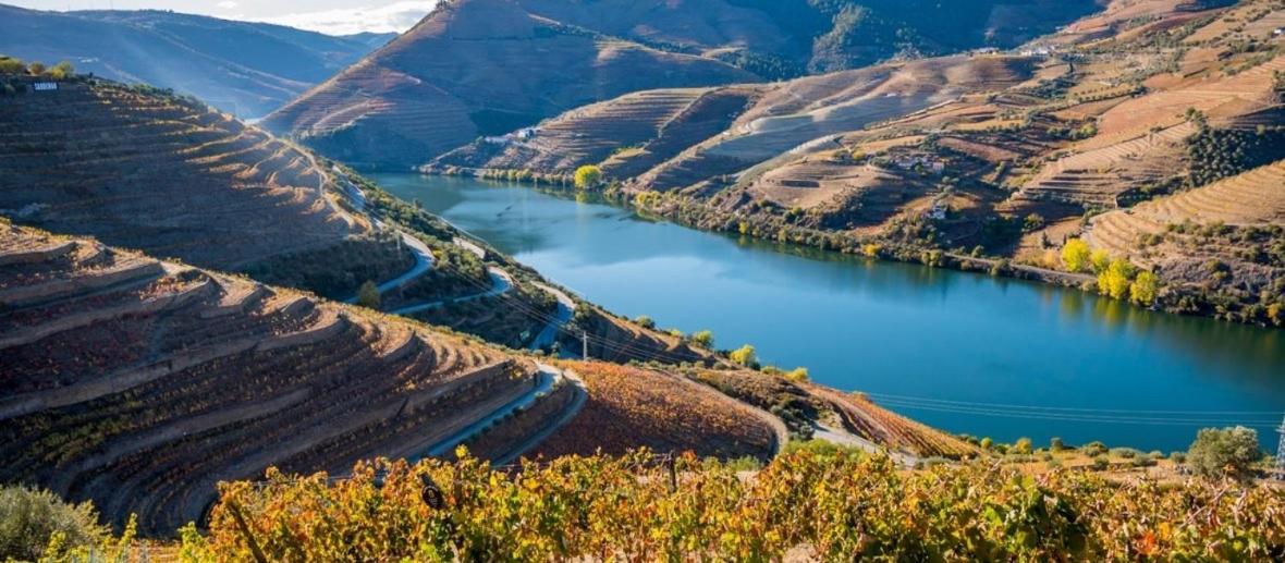 Quinta Da Casa Cimeira, Guest House, Wines & Food Valença do Douro Dış mekan fotoğraf