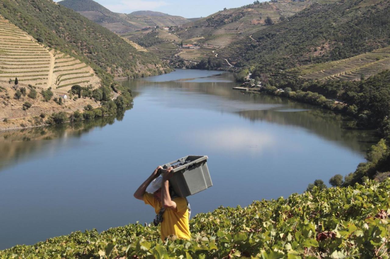 Quinta Da Casa Cimeira, Guest House, Wines & Food Valença do Douro Dış mekan fotoğraf